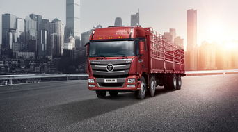 运输服务从业所需手续全解析