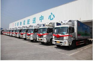 新零售时代下，鸿翔物流如何以运输服务脱颖而出