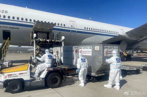 奥运选手的大件行李如何运输？中国联航相关规定与服务全解析